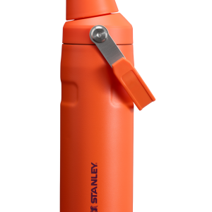 IceFlow? Bottle with Fast Flow Lid | 16 OZ