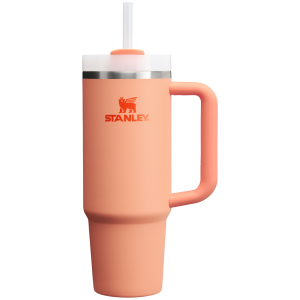 The Quencher H2.0 Flowstate Tumbler | 30 OZ