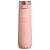 Peach Rose
