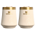 Birch Woodgrain